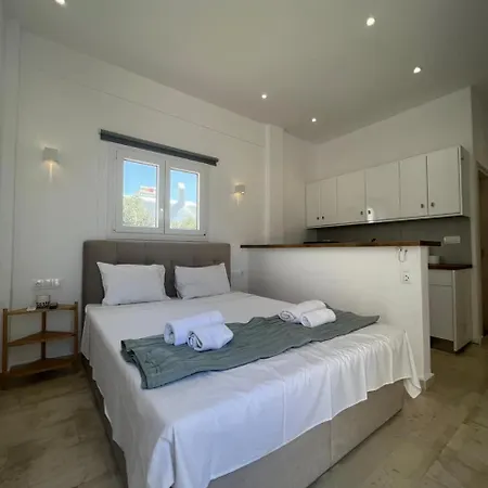 Gorgeous Mykonian In Holiday home *